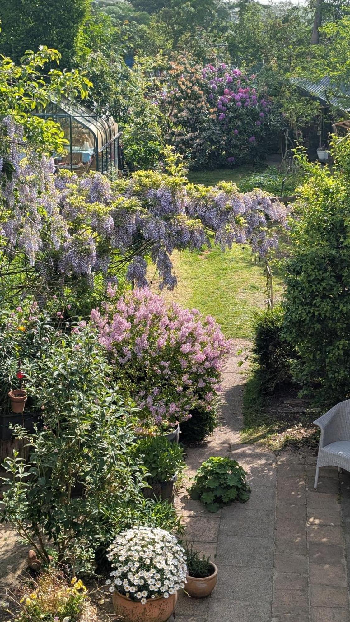 Zimmer Mit Gartenblick Schleswig Exterior foto